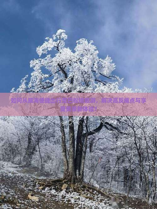 如何从威海便捷出行至巴松措旅游，解决高反痛点与享受美景新体验？