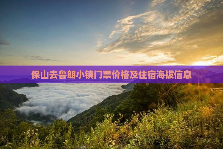 保山去鲁朗小镇门票价格及住宿海拔信息