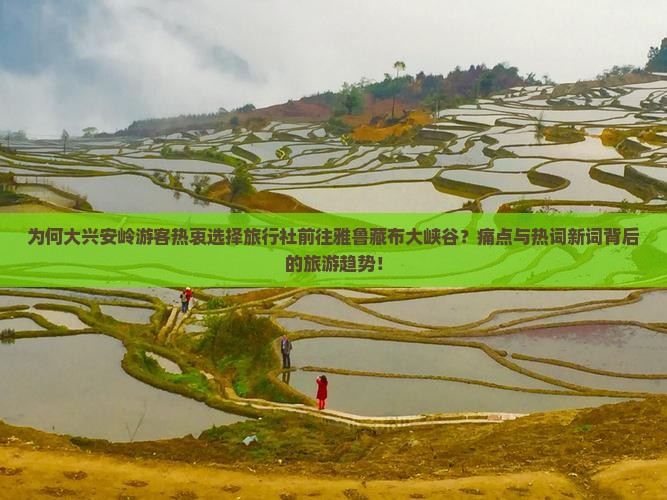 为何大兴安岭游客热衷选择旅行社前往雅鲁藏布大峡谷？痛点与热词新词背后的旅游趋势！