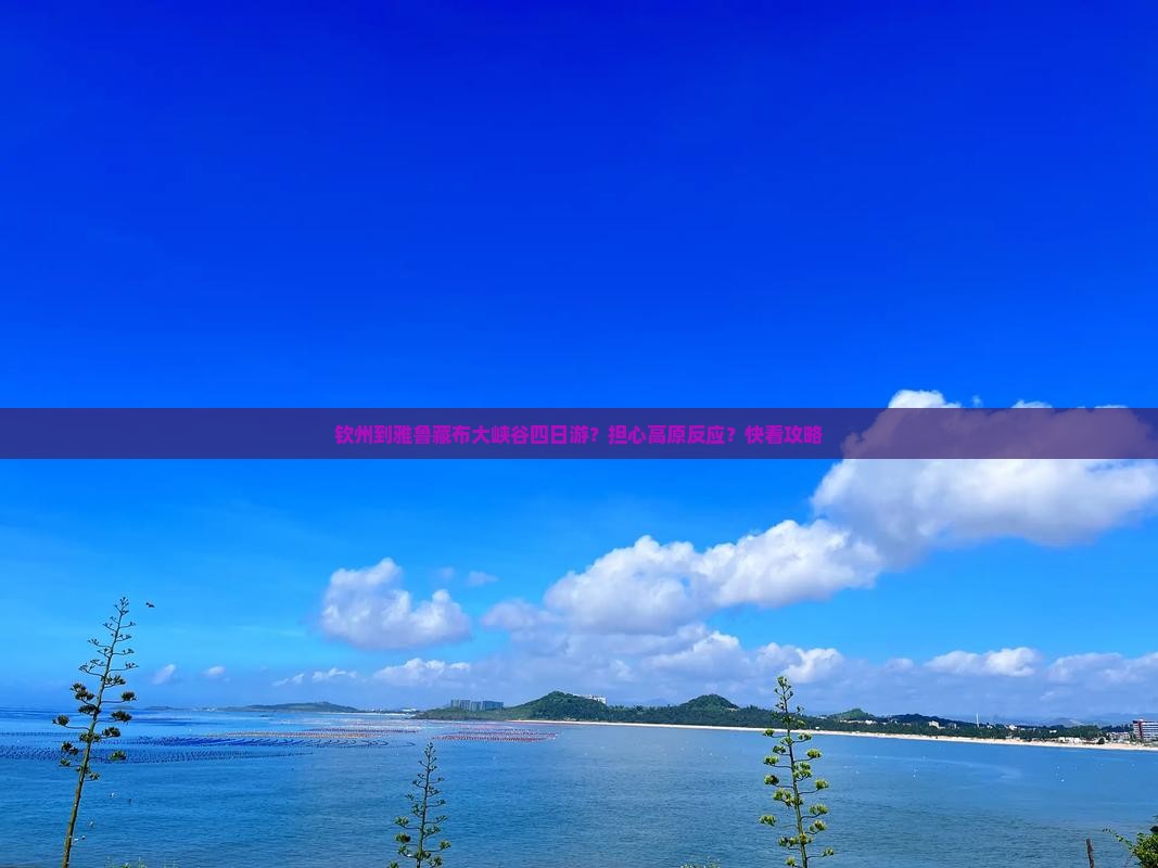 钦州到雅鲁藏布大峡谷四日游？担心高原反应？快看攻略