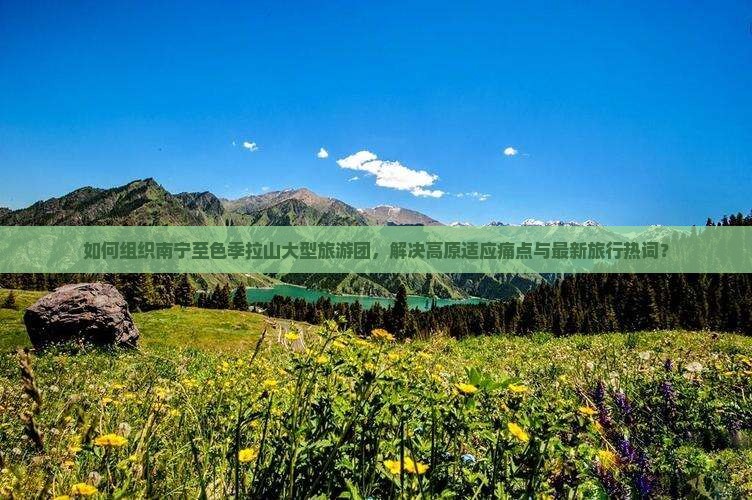 如何组织南宁至色季拉山大型旅游团，解决高原适应痛点与最新旅行热词？