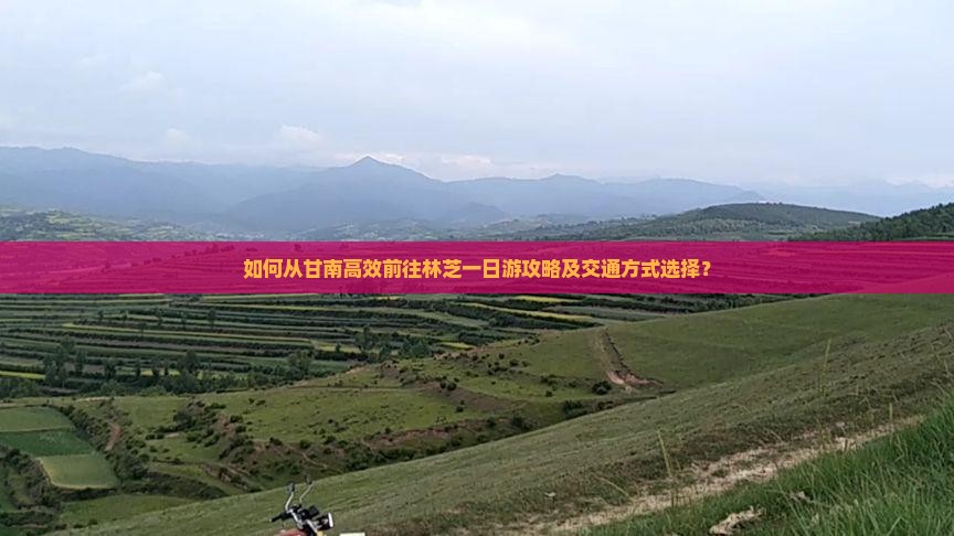 如何从甘南高效前往林芝一日游攻略及交通方式选择？
