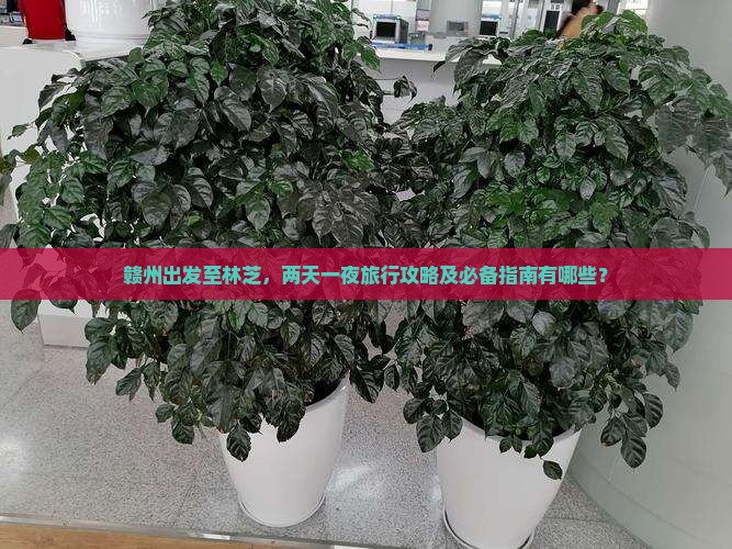 赣州出发至林芝，两天一夜旅行攻略及必备指南有哪些？