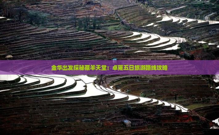 金华出发探秘藏羊天堂：卓雍五日旅游路线攻略