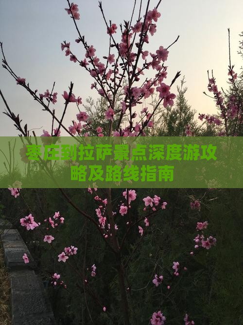枣庄到拉萨景点深度游攻略及路线指南