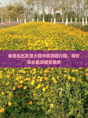 秦皇岛出发至大昭寺旅游团行程、报价及必备攻略全解析 秦皇岛出发至大昭寺旅游团行程、报价及必备攻略全解析