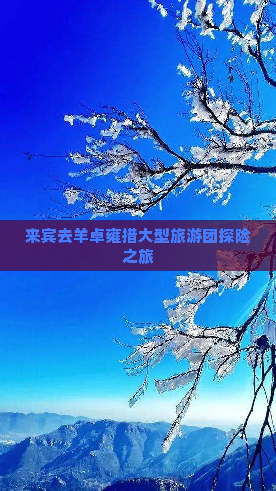 来宾去羊卓雍措大型旅游团探险之旅