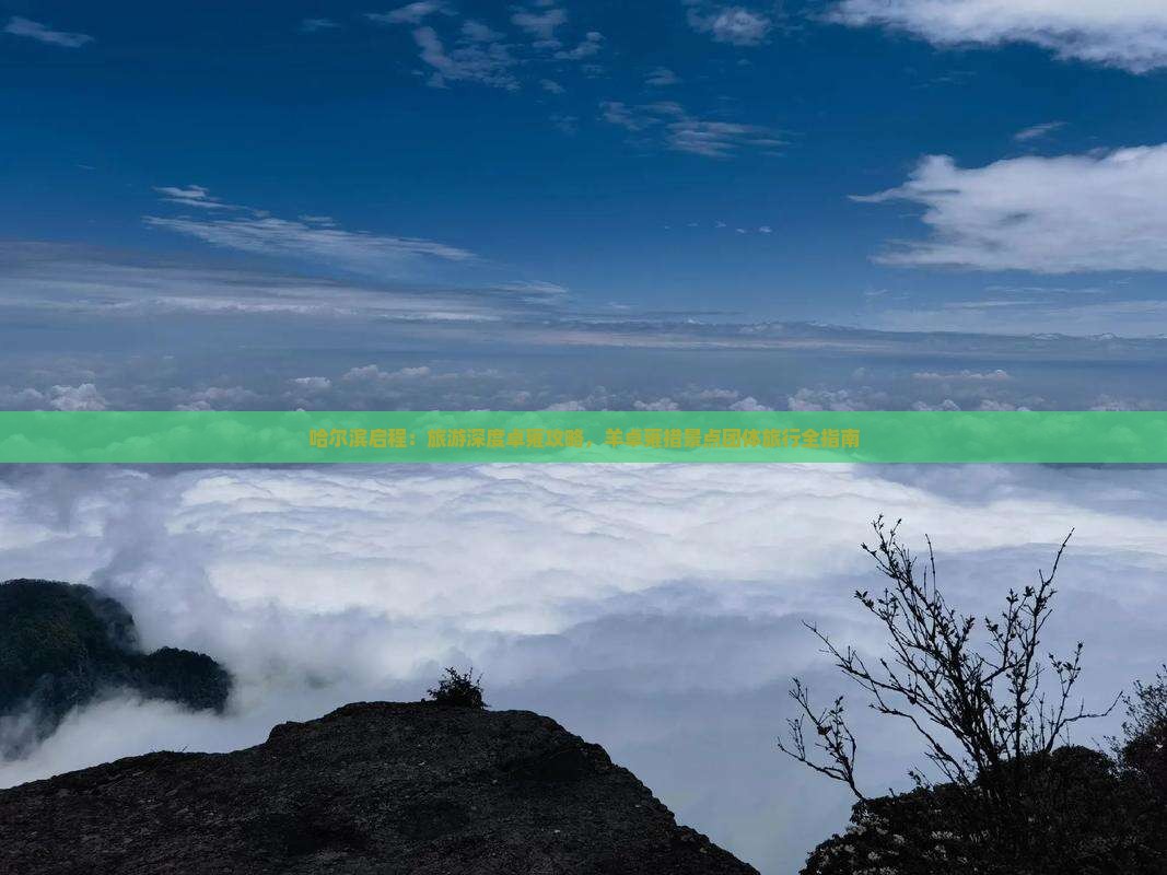 哈尔滨启程:旅游深度卓雍攻略,羊卓雍措景点团体旅行全指南 哈尔滨启程:旅游深度卓雍攻略,羊卓雍措景点团体旅行全指南