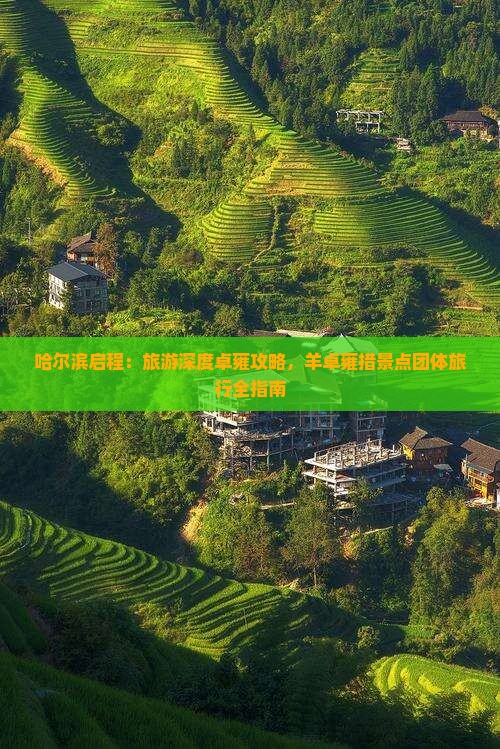 哈尔滨启程:旅游深度卓雍攻略,羊卓雍措景点团体旅行全指南 哈尔滨启程:旅游深度卓雍攻略,羊卓雍措景点团体旅行全指南