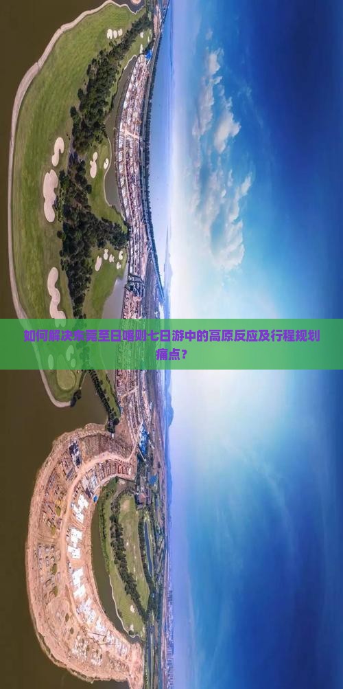 如何解决东莞至日喀则七日游中的高原反应及行程规划痛点？