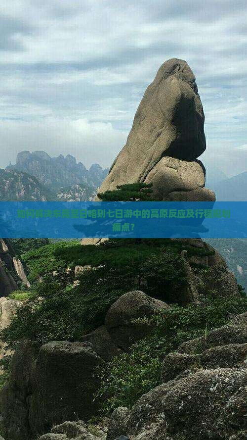 如何解决东莞至日喀则七日游中的高原反应及行程规划痛点？