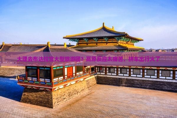 大理去布达拉宫大型旅游团？高原反应太痛苦，拼车出行火了