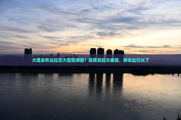 大理去布达拉宫大型旅游团？高原反应太痛苦，拼车出行火了