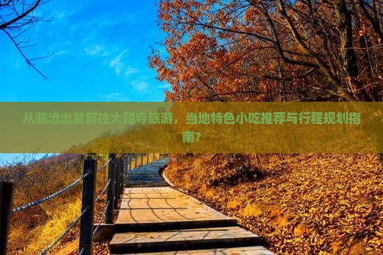 从临沧出发前往大昭寺旅游，当地特色小吃推荐与行程规划指南？