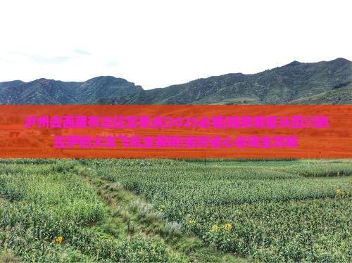 泸州去西藏布达拉宫景点