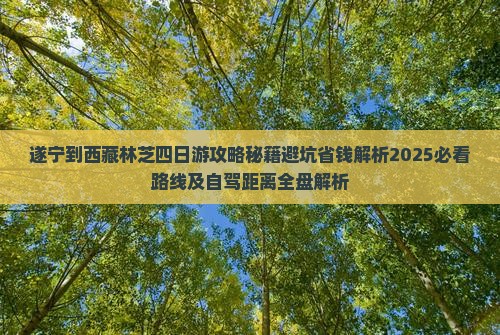 遂宁到西藏林芝四日游