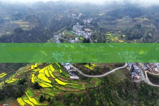 昌都到西藏鲁朗小镇团体旅游