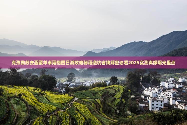 克孜勒苏去西藏羊卓雍措四日游