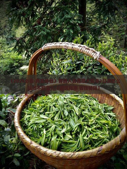 十月到西藏大昭寺三日游