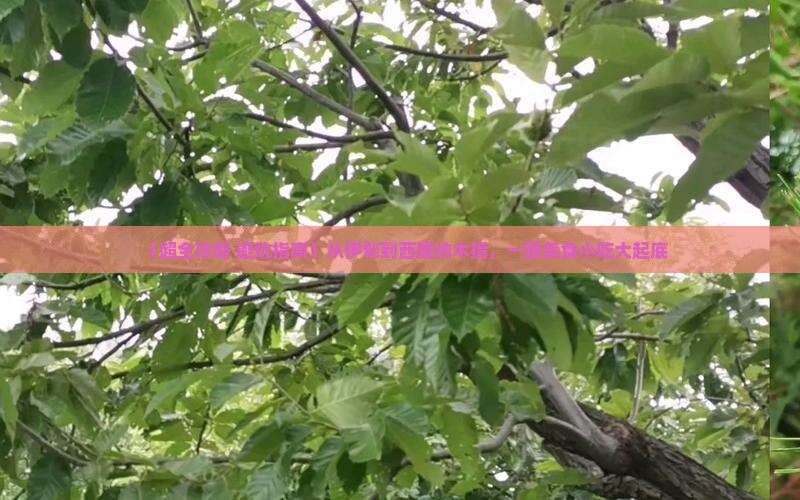伊犁哈萨克去西藏纳木措旅游小吃