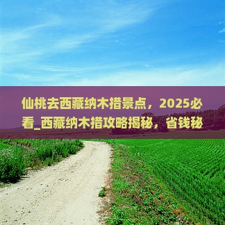 仙桃去西藏纳木措景点 仙桃去西藏纳木措景点