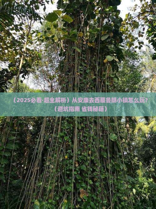 安康到西藏鲁朗小镇旅行社