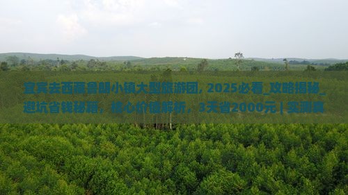宜宾去西藏鲁朗小镇大型旅游团