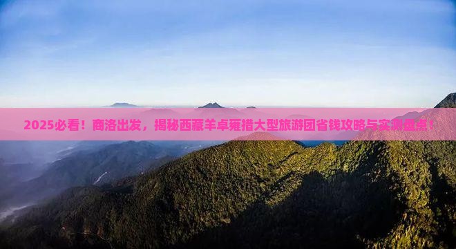 商洛到西藏羊卓雍措大型旅游团