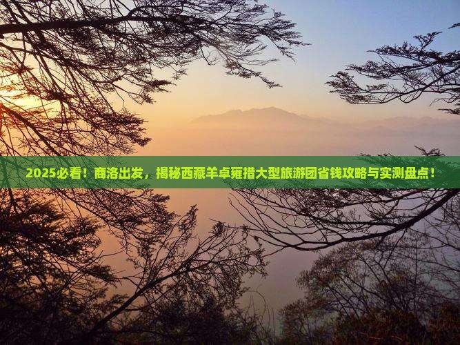 商洛到西藏羊卓雍措大型旅游团