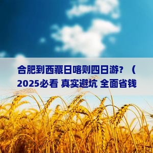 合肥到西藏日喀则四日游