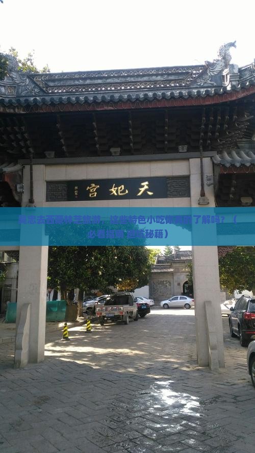 吴忠去西藏林芝旅游小吃