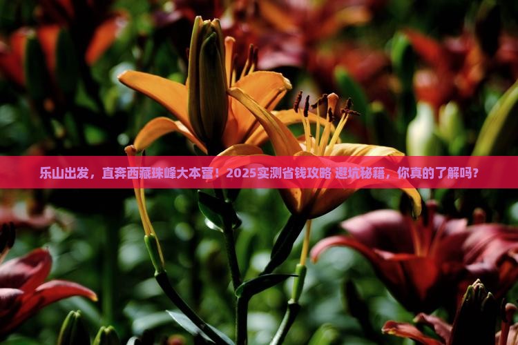 乐山到西藏珠峰大本营自由行