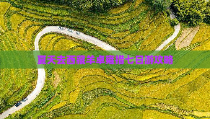 夏天去西藏羊卓雍措七日游