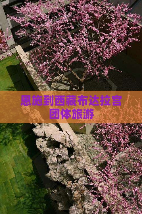 恩施到西藏布达拉宫团体旅游