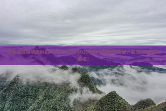 铜陵去西藏羊卓雍措门票