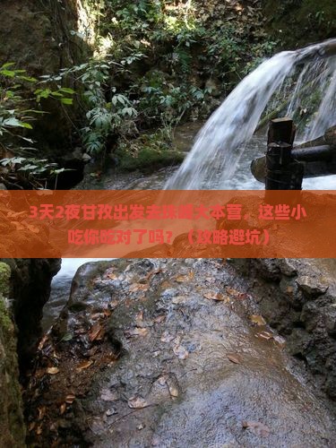 甘孜去西藏珠峰大本营旅游小吃