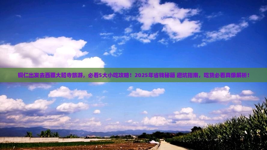 铜仁到西藏大昭寺旅游小吃 铜仁到西藏大昭寺旅游小吃