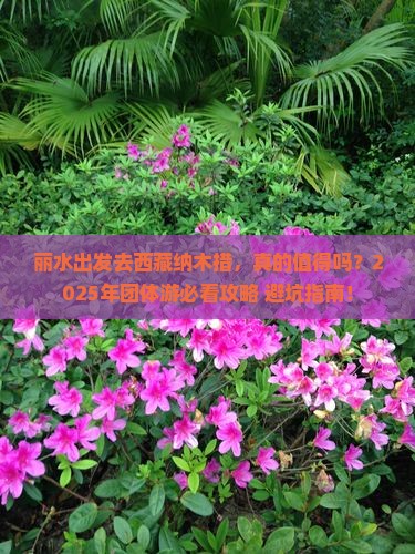 丽水去西藏纳木措团体旅游