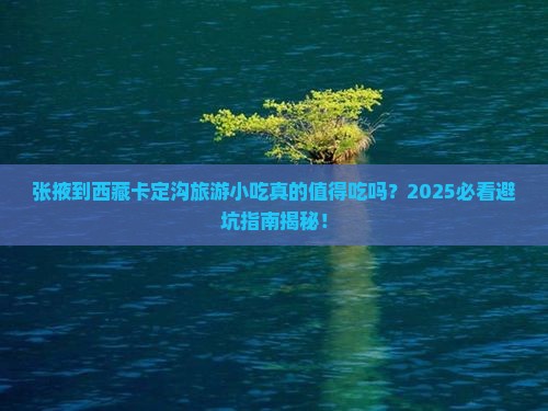 张掖到西藏卡定沟旅游小吃