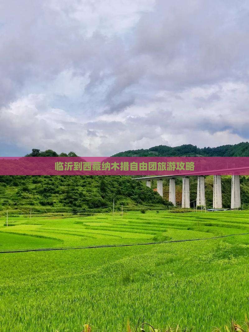 临沂到西藏纳木措自由团