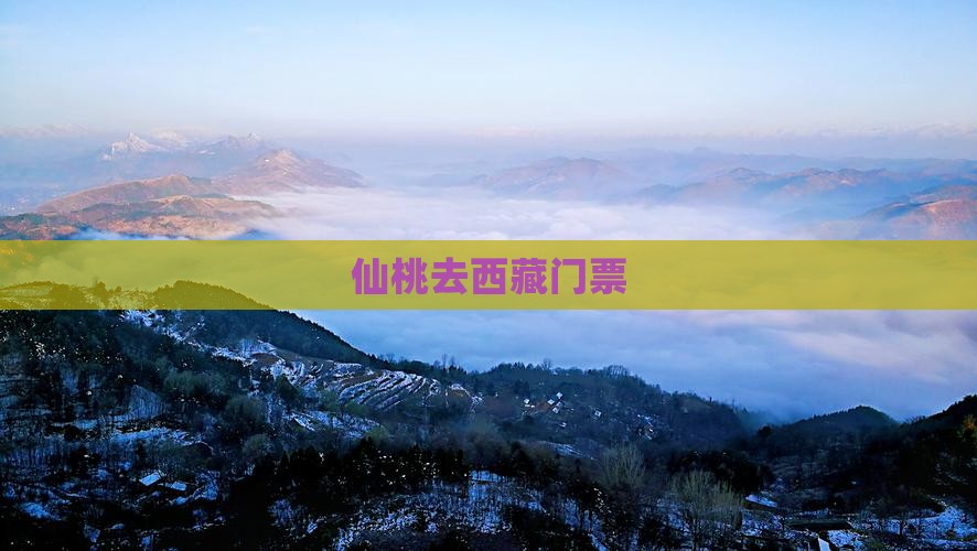仙桃去西藏门票