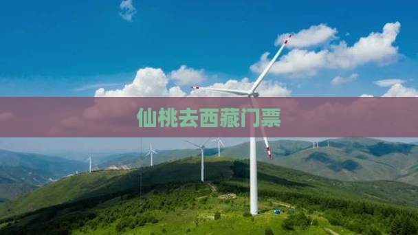 仙桃去西藏门票
