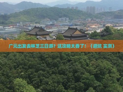 广元去西藏林芝三日游