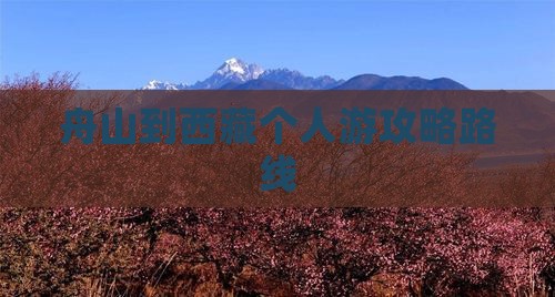 舟山到西藏个人游