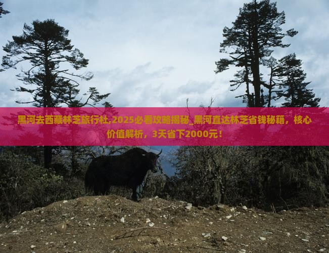 黑河去西藏林芝旅行社