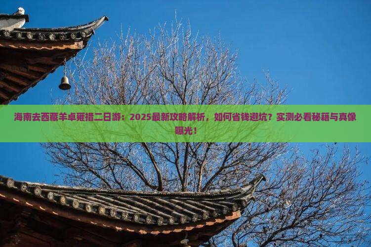 海南去西藏羊卓雍措二日游