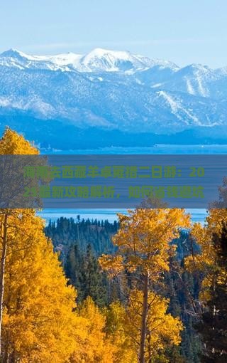海南去西藏羊卓雍措二日游