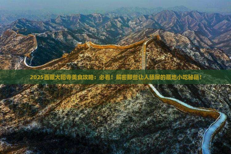 大同去西藏大昭寺旅游小吃
