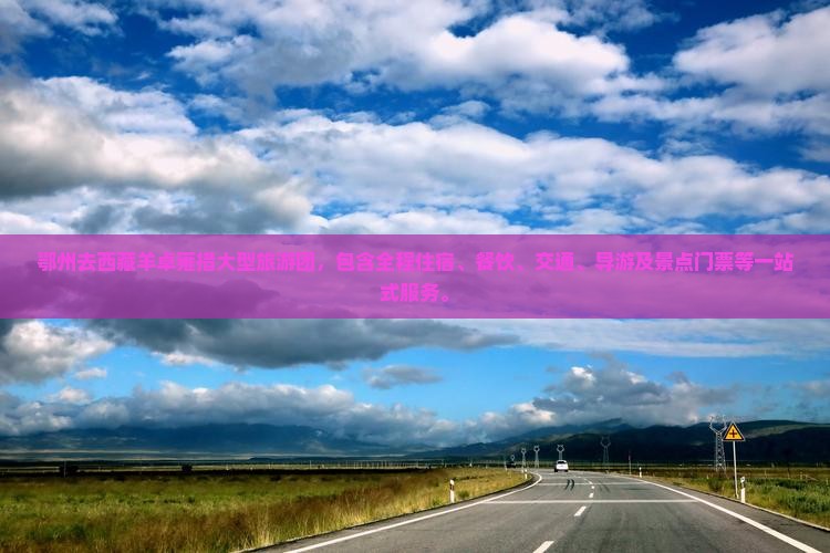 鄂州去西藏羊卓雍措大型旅游团