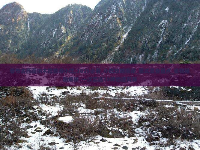 春节去西藏纳木措旅游小吃